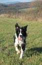IMG_0232 kopie